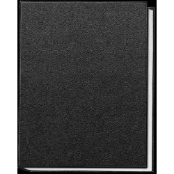 Donec et tincidunt quam