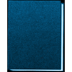 Integer ut euismod ex