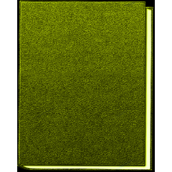 Maecenas eu turpis lorem